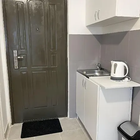 Apartment Albinuta *
